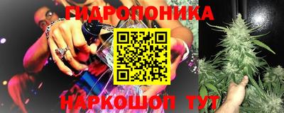 PSILOCYBIN Малоярославец