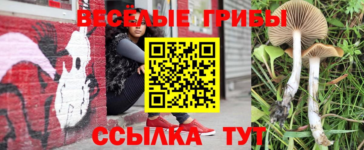 Галлюциногенные грибы мицелий  закладка  Елизово  Псилоцибиновые грибы мухоморы  Вход с VPN 