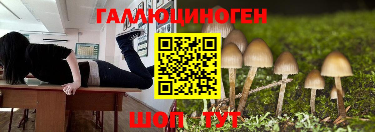 Галлюциногенные грибы Magic Shrooms Елизово